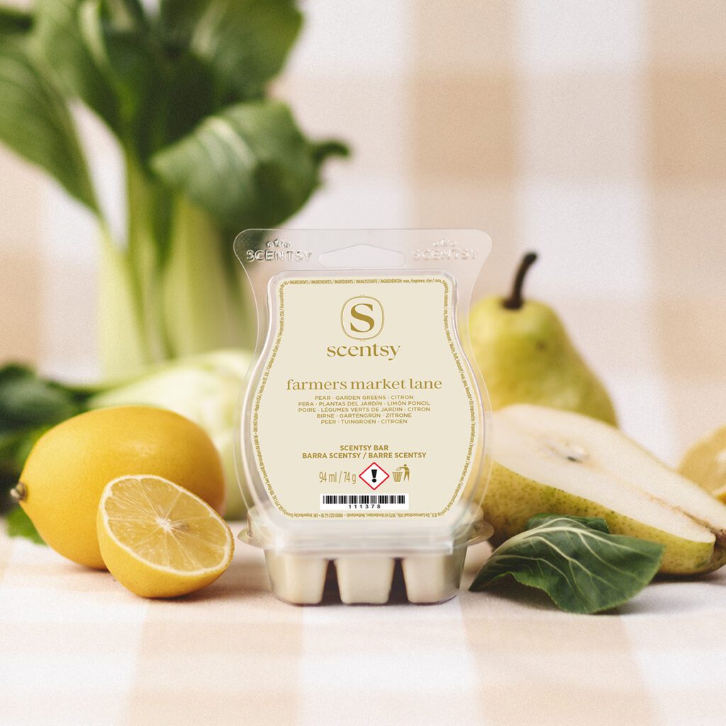 Barre de cire Scentsy