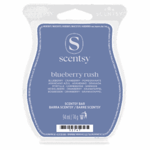 Barre Scentsy Blueberry Rush