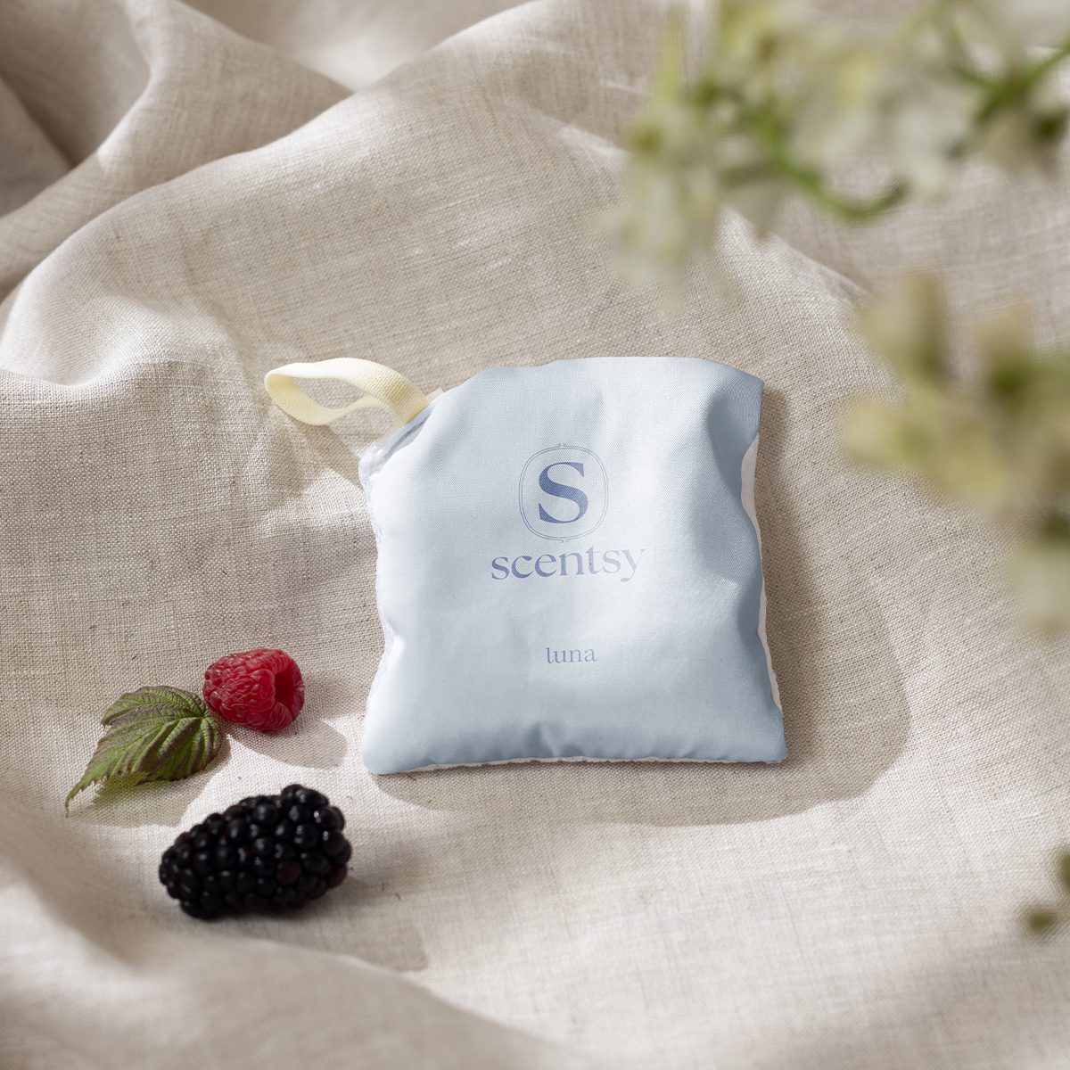 scent pak scentsy
