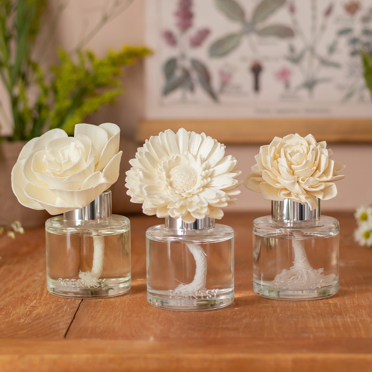 Fleurs parfumées Scentsy