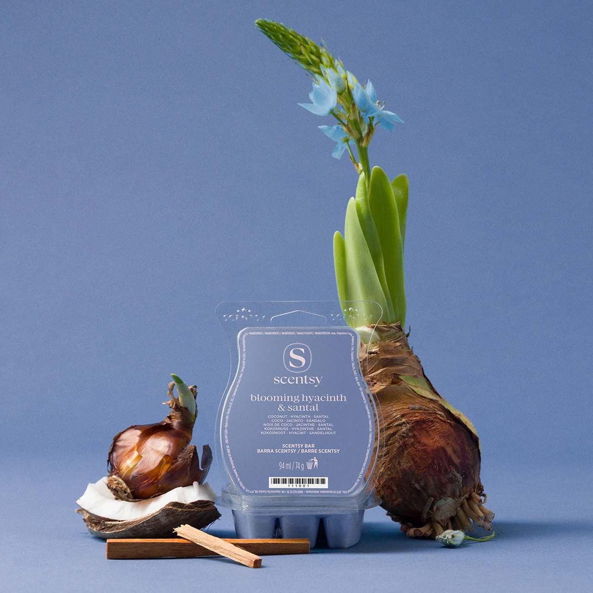 Blooming Hyacinth Santal Bar Scentsy