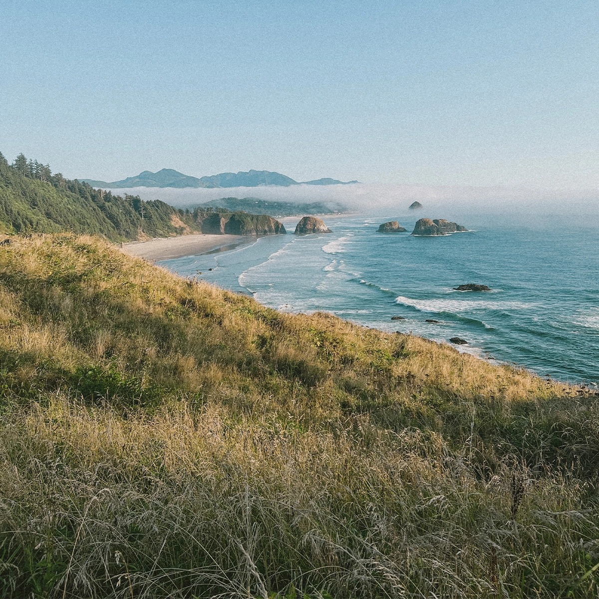 Barre Scentsy By the Sea – Image 2
