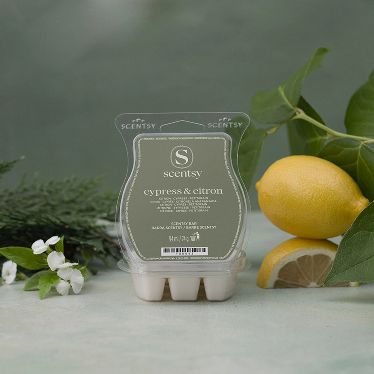 Barre Scentsy Cypress & Citron image