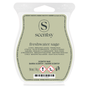 Barre Scentsy Freshwater Sage