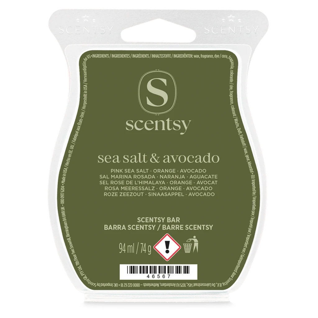 Barre Scentsy Sea Salt & Avocado