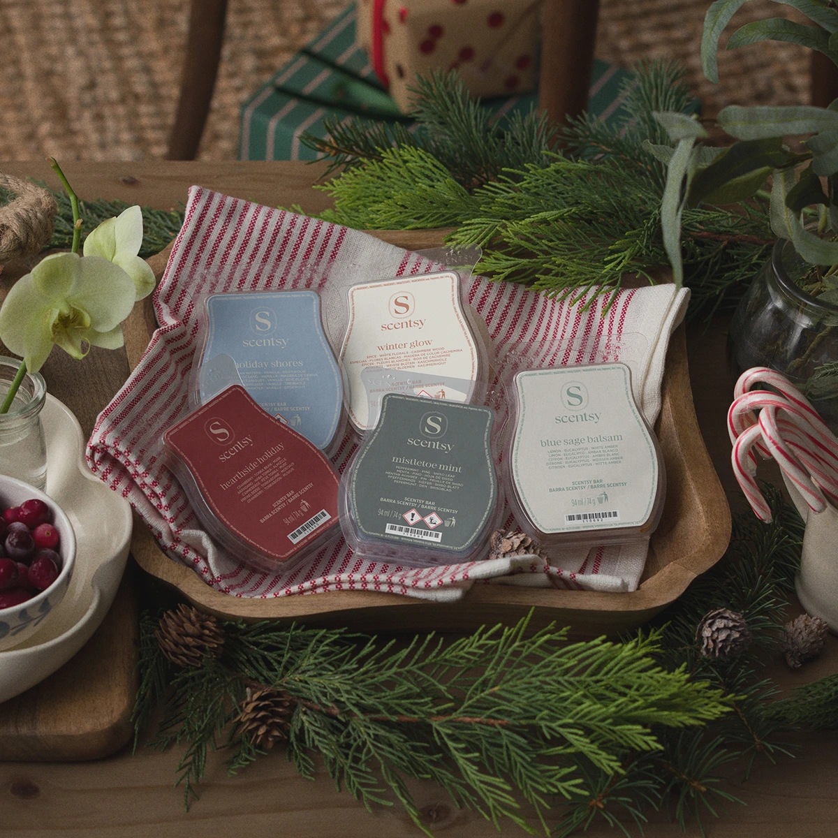 Coffret 5 Barres Scentsy Collection des Fêtes 2026