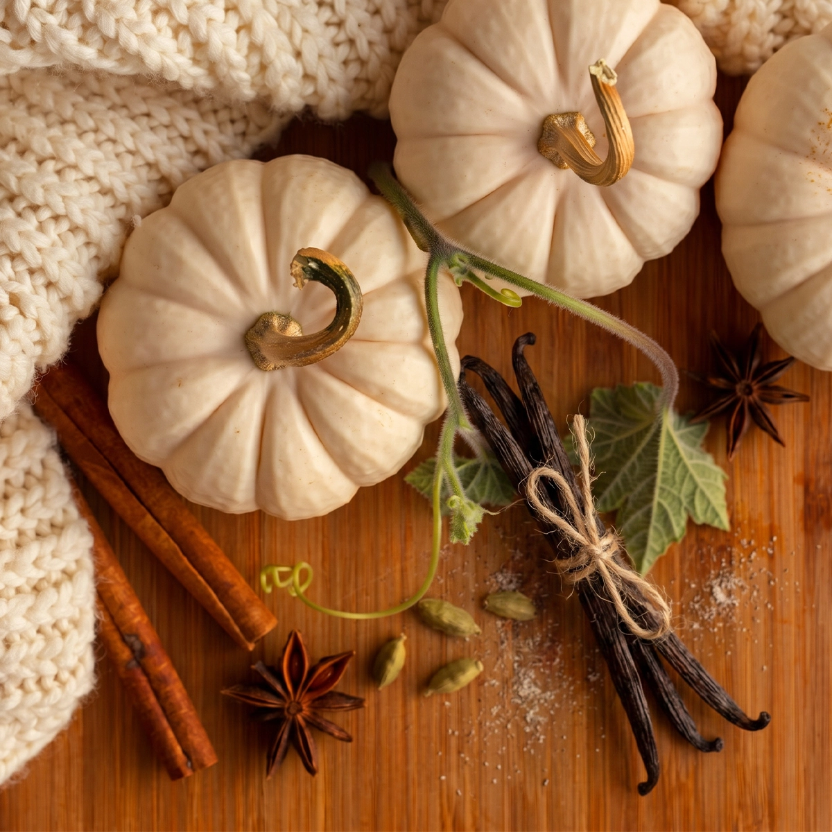 Barre Scentsy Sandalwood & Vanilla Pumpkin