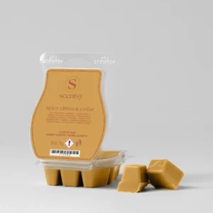 Barre Scentsy Spicy Citrus & Cedar